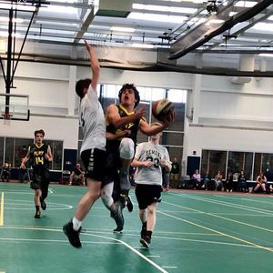 Meet your Posher, Darcy